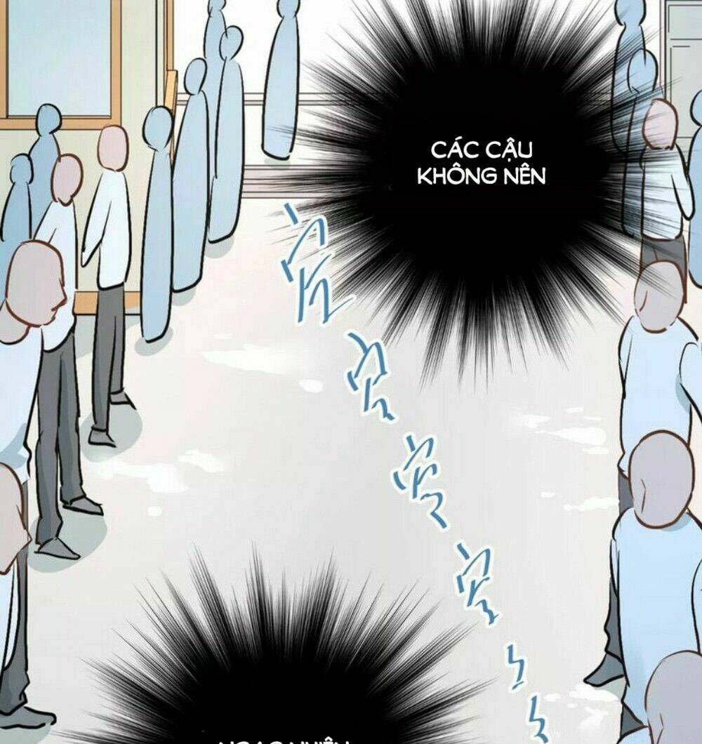 Đầu Gấu Biết Yêu: Chapter 40