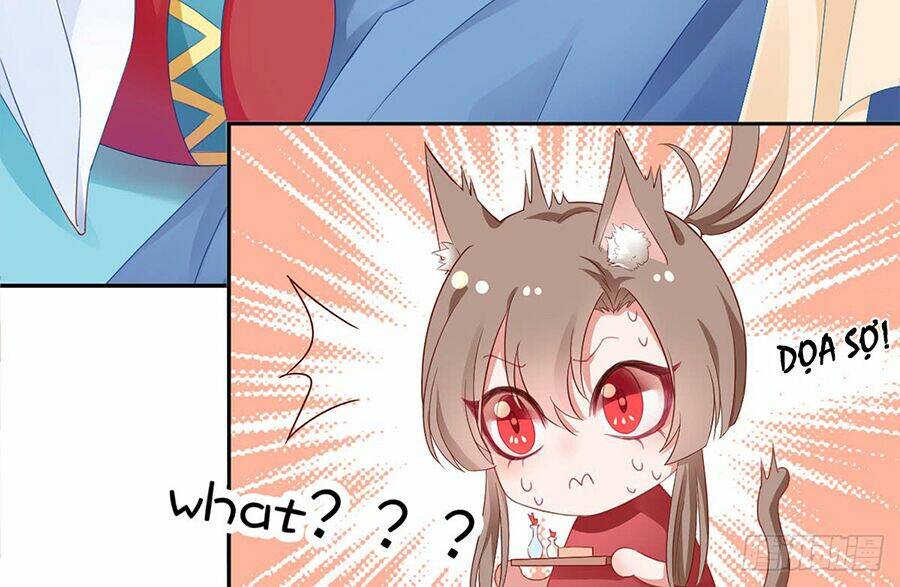 Hoàng Phi 9000 Tuổi: Chapter 6