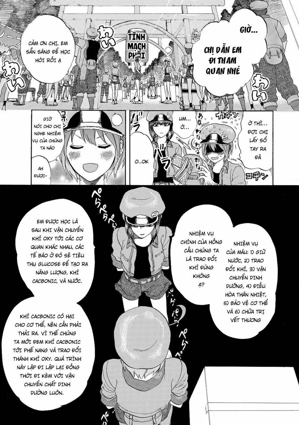 Hataraku Saibou!: Chapter 17