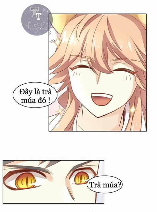 Dưới Móng Vuốt Mèo: Chapter 2