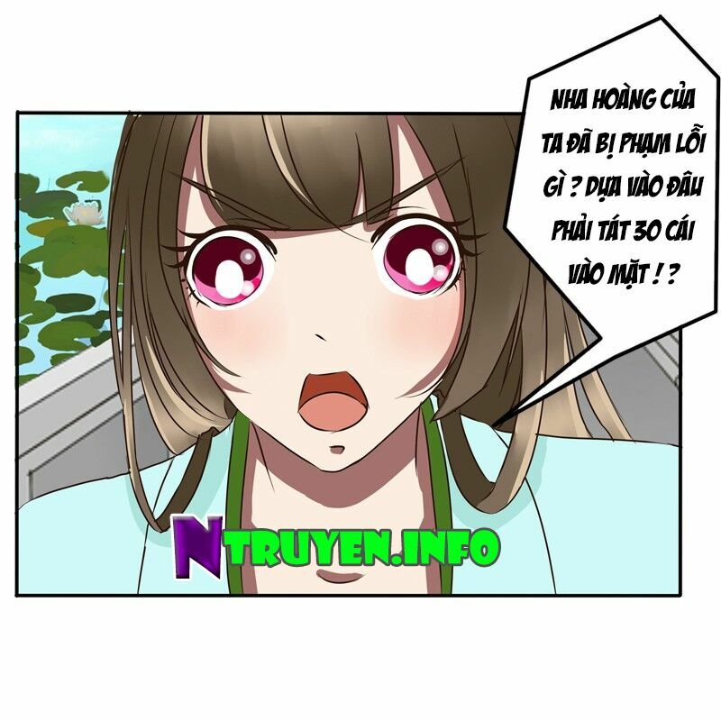 Thông Linh Phi: Chapter 48
