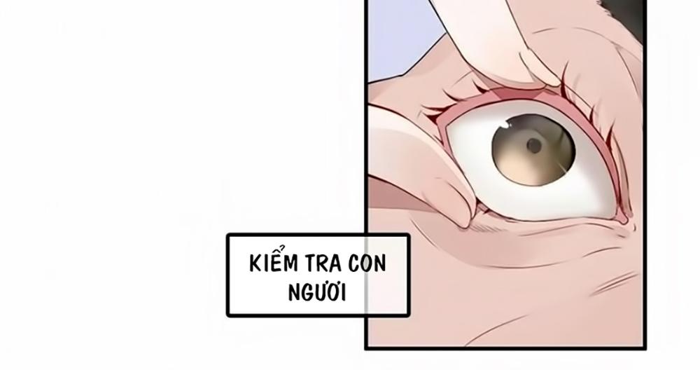 Ái Ngạo Kiều Long Vương Gia: Chapter 1