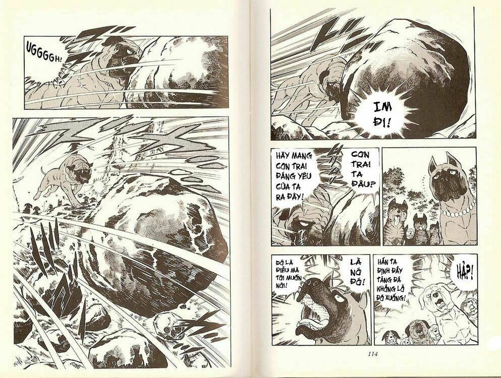 Chú Chó Có Nghĩa - Ginga Nagareboshi Gin: Chapter 16