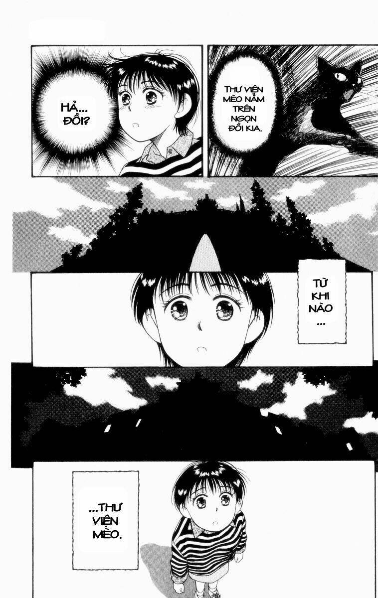 Lời Thì Thầm Từ Trái Tim: Chapter 5