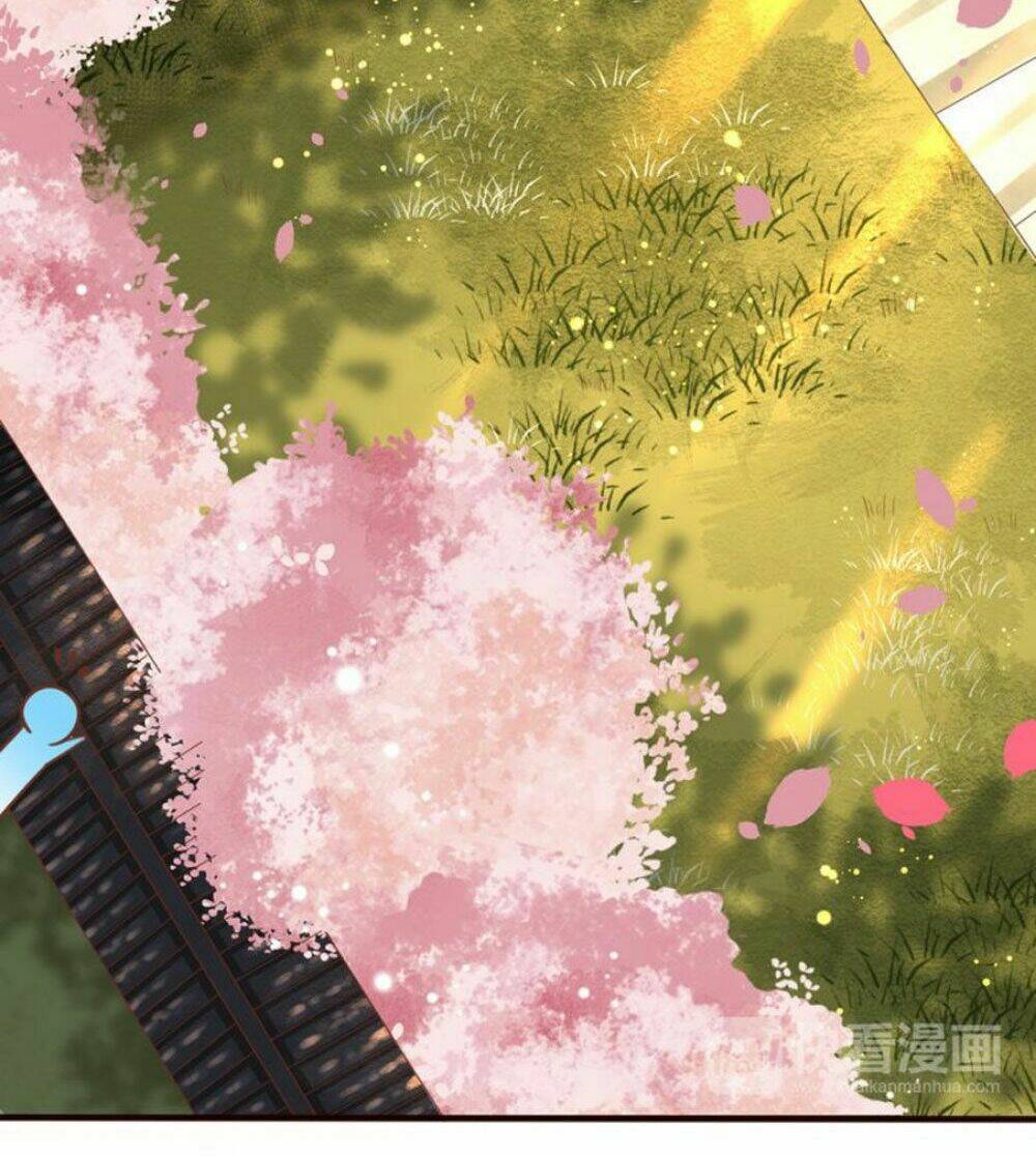 Chọc Nhầm Thượng Thần Băng Lãnh: Chapter 11