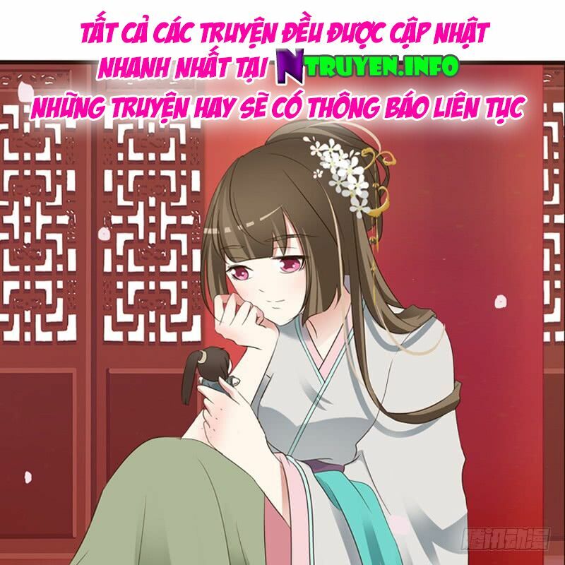 Thông Linh Phi: Chapter 224.5