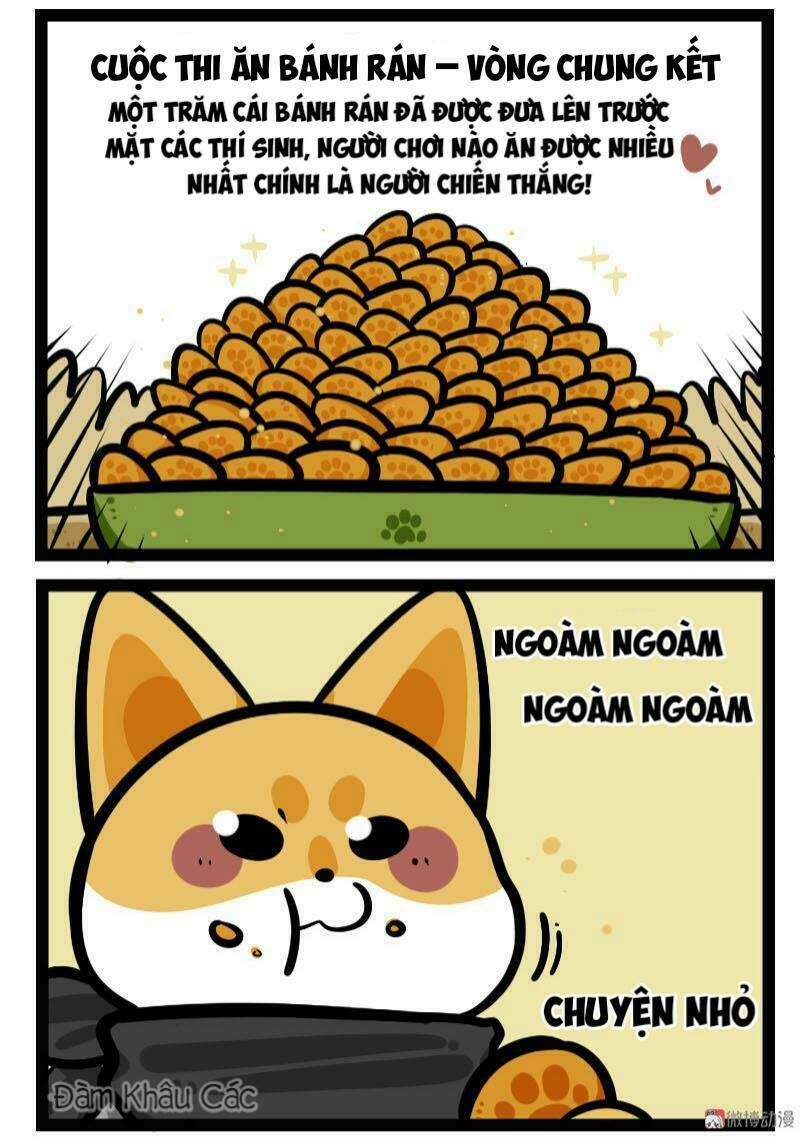 Đời Không Như Mình Tưởng: Chapter 63