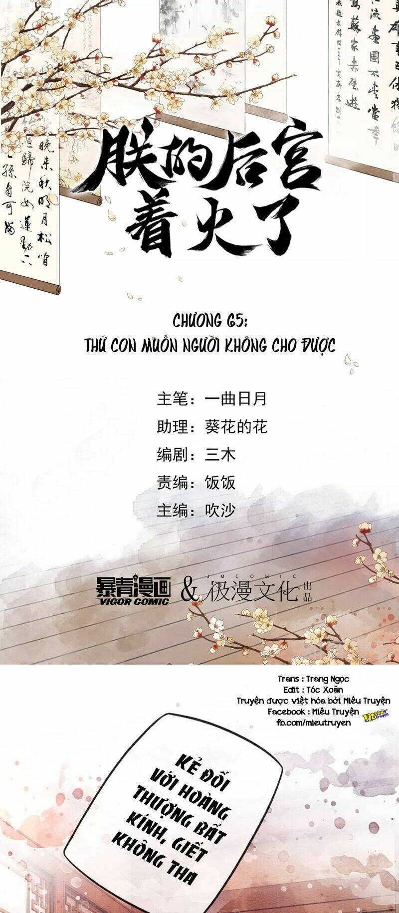 Hậu Cung Của Trẫm Cháy Rồi!: Chapter 65