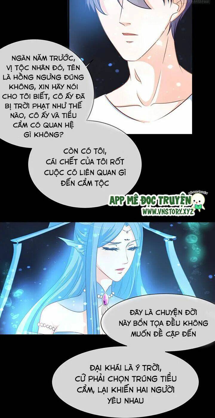Cẩm Lý Thiếu Nữ Của Tôi: Chapter 67