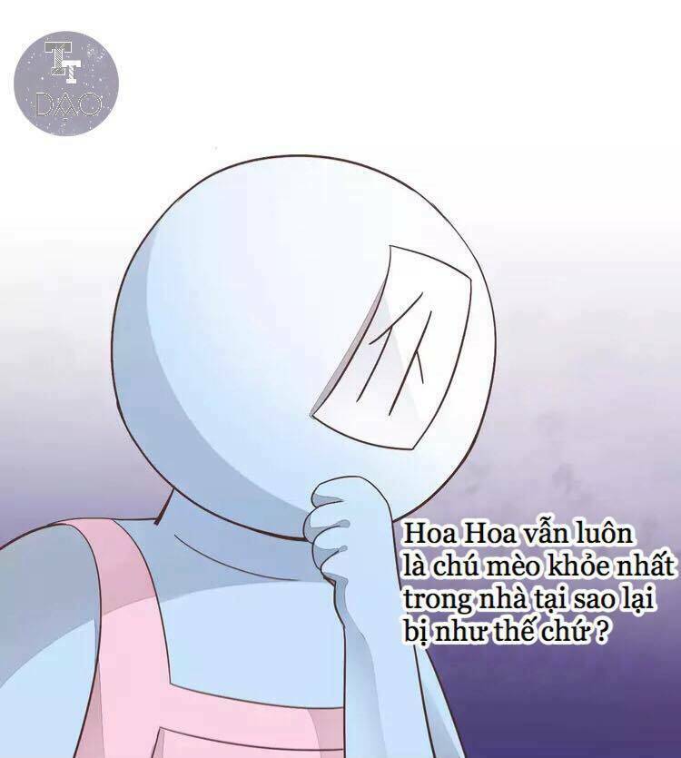 Dưới Móng Vuốt Mèo: Chapter 19