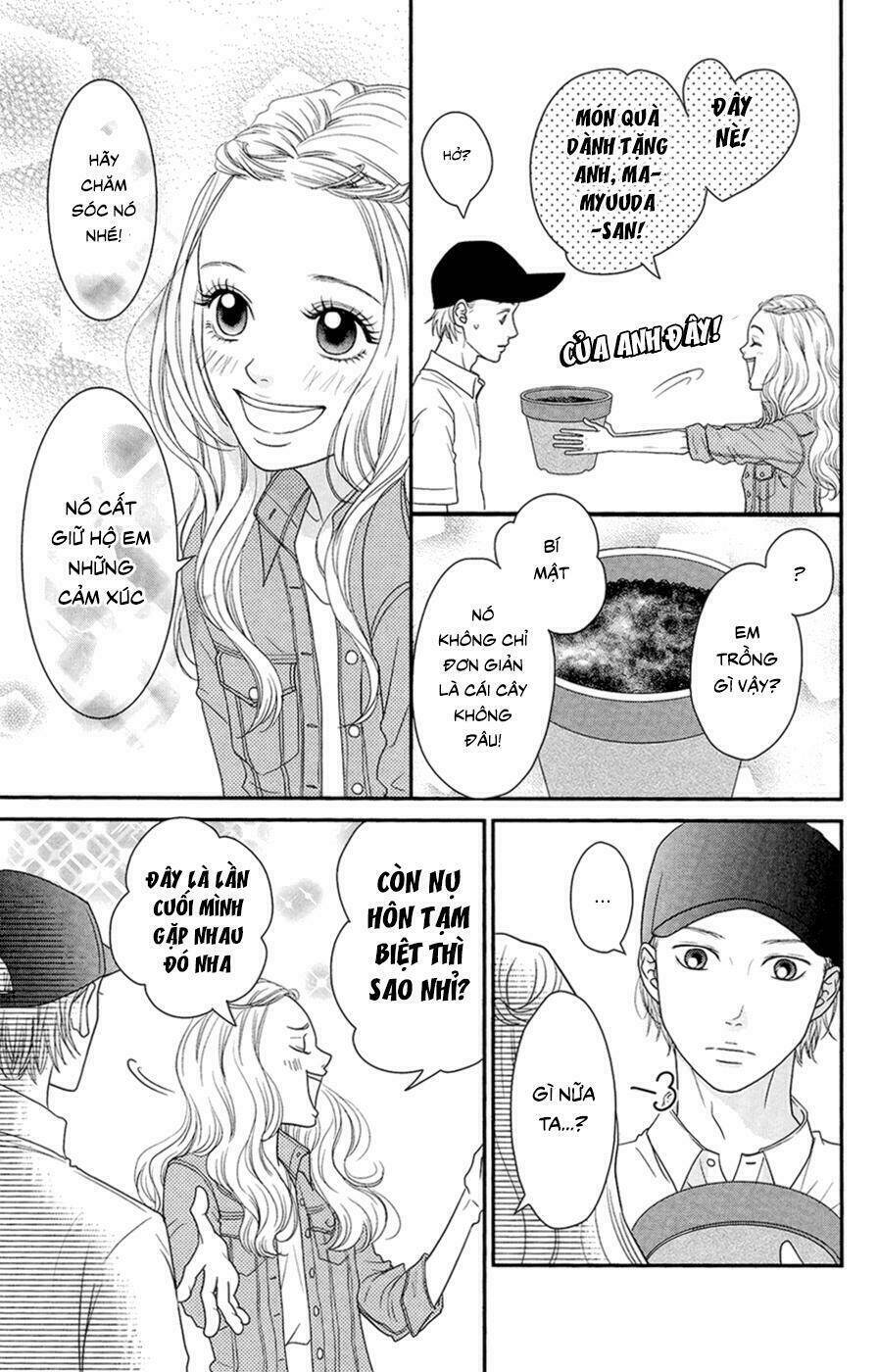 Đóa Hoa Năm Ấy: Chapter 4