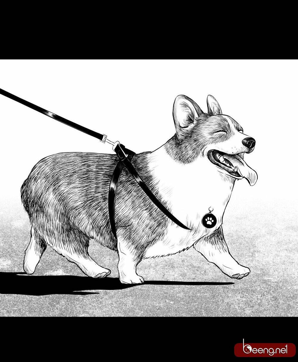 Dạ Hành Khuyển: Chapter 3