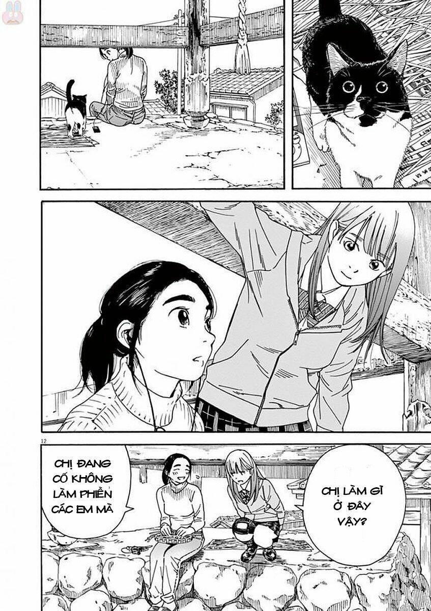 Neko No Otera No Chion-San: Chapter 49