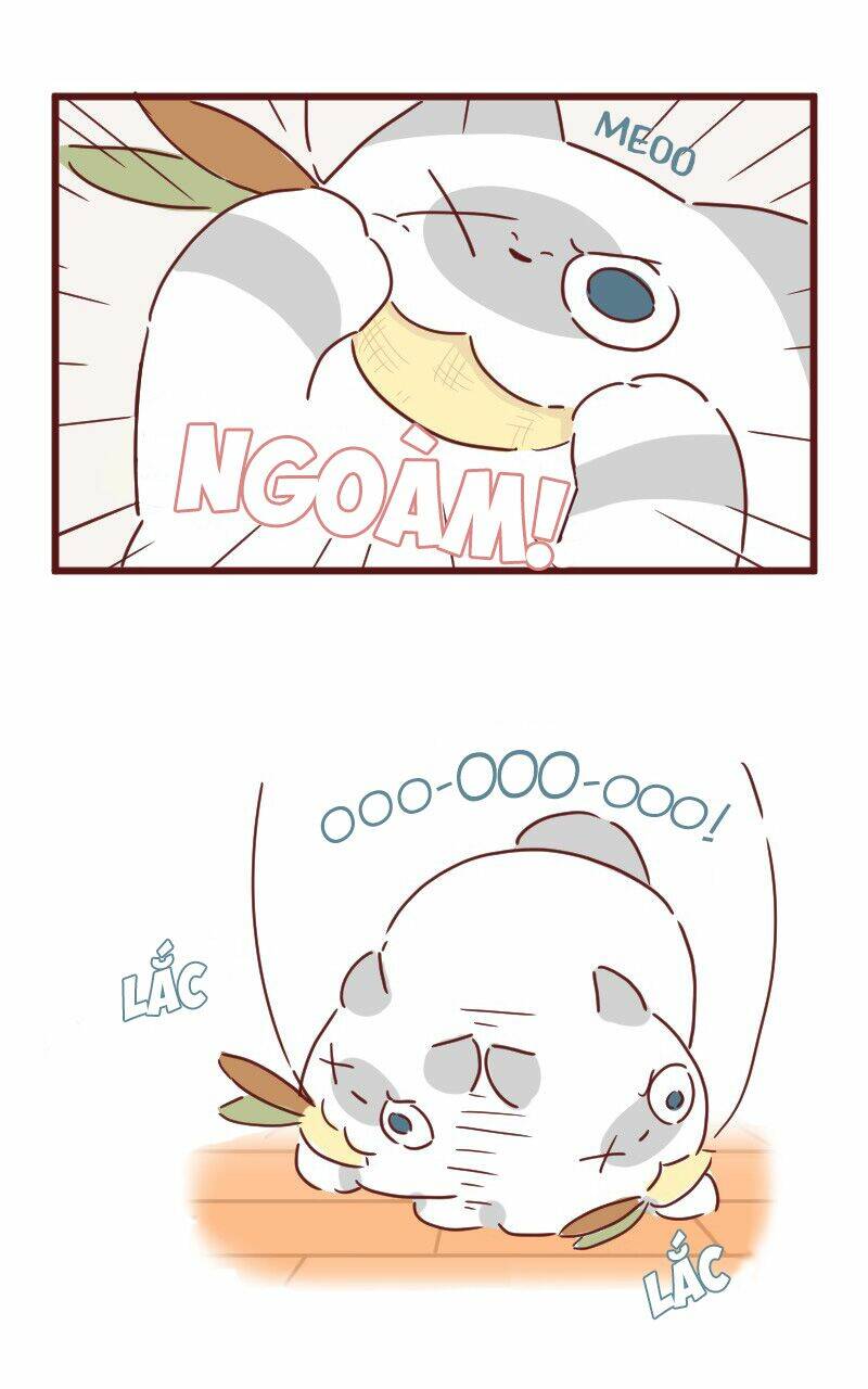 Saphie: Chú mèo một mắt: Chapter 27