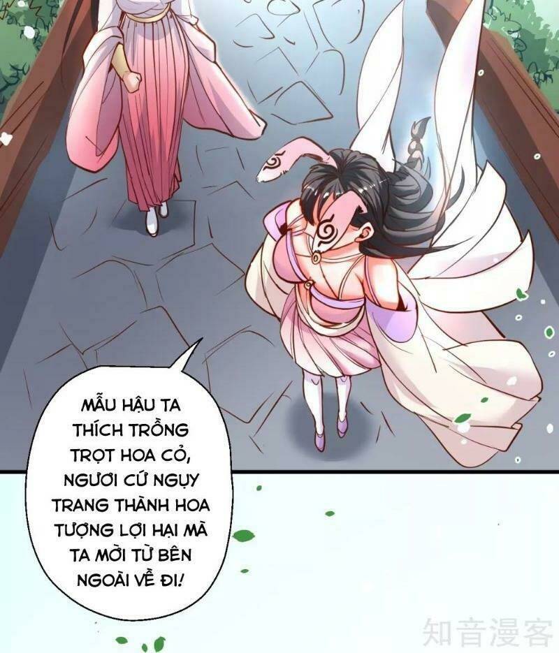 Tối Cường Đại Biểu Hoàng Kim Thận: Chapter 82