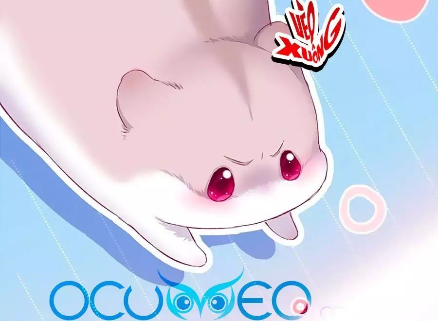 Kiều Nhi Hư Quá Nha: Chapter 8