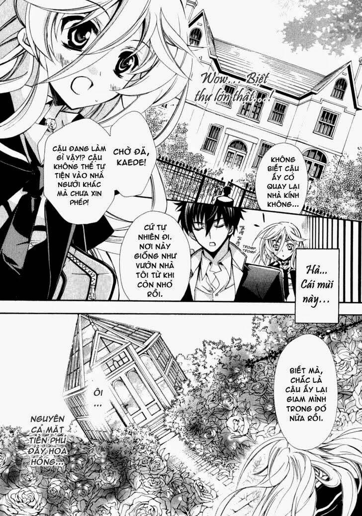 Nụ Hôn Của Công Chúa Tường Vi: Chapter 4