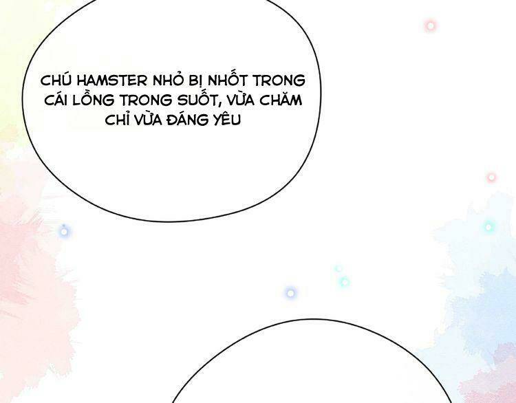 Giai Điệu Của Sự Va Chạm: Chapter 50