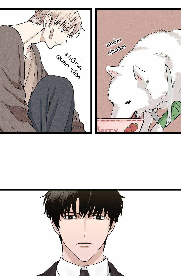 Trốn Tìm: Chapter 1