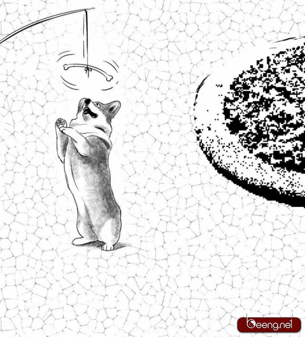 Dạ Hành Khuyển: Chapter 1