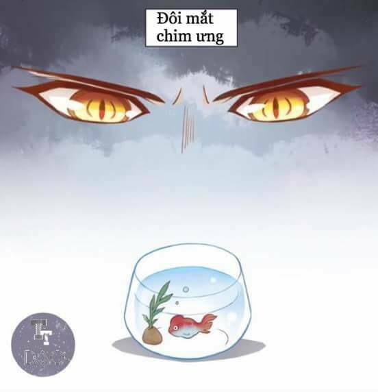 Dưới Móng Vuốt Mèo: Chapter 2