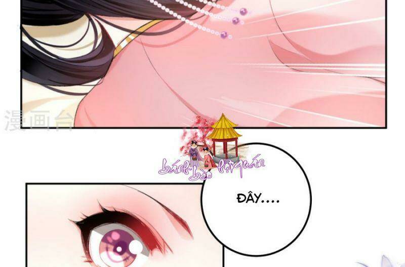 Vương Gia, Áo Lót Của Ngươi Rơi Mất Rồi: Chapter 43