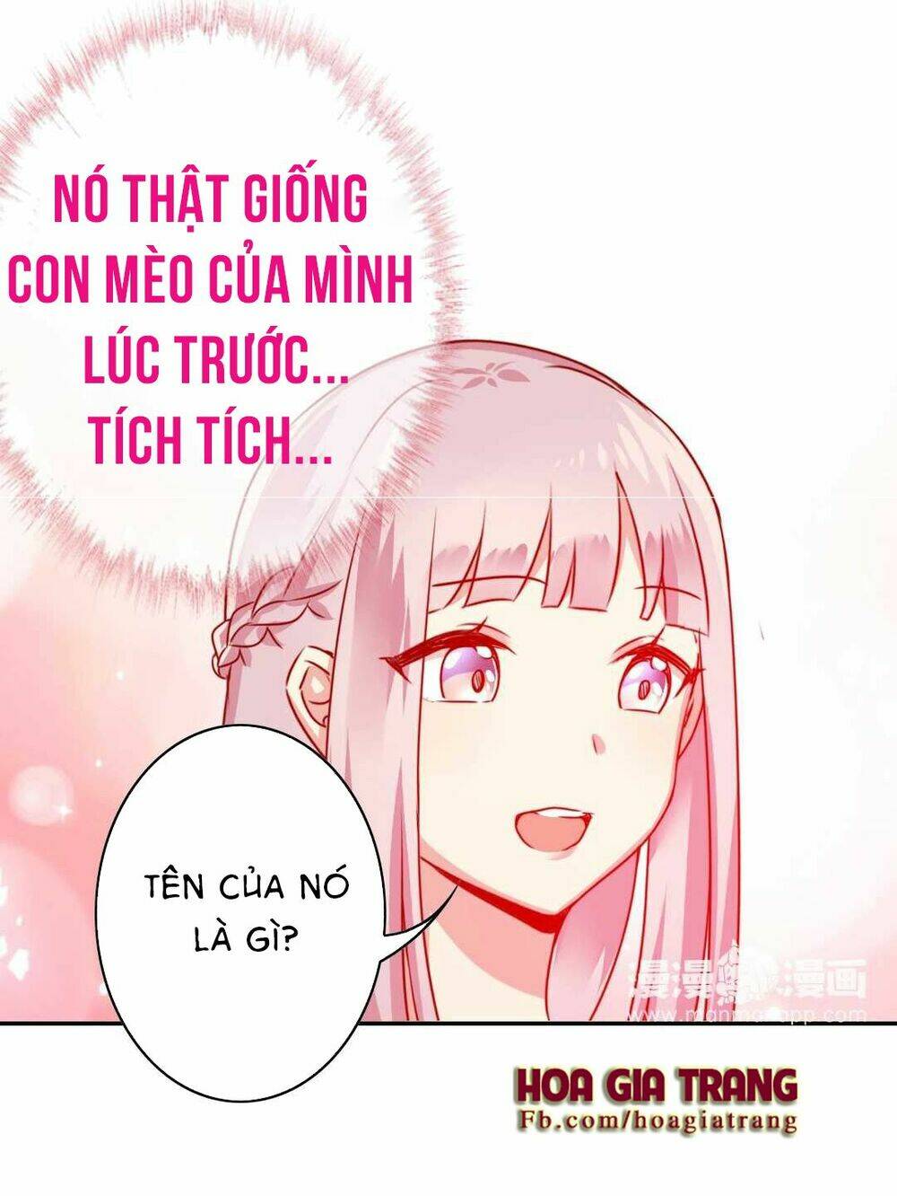 Phục Thù Thiếu Gia Tiểu Điềm Thê: Chapter 15