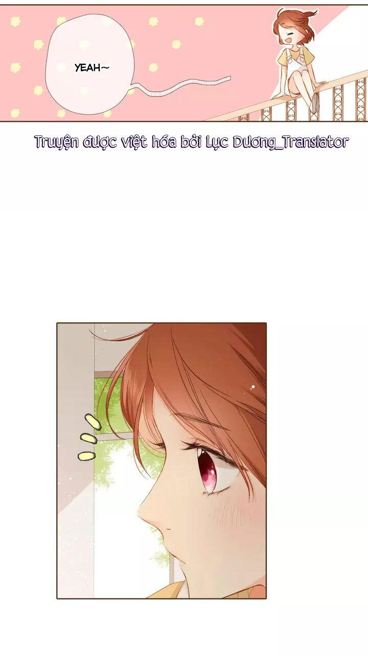 Tình yêu là màu hoa anh thảo: Chapter 35.3