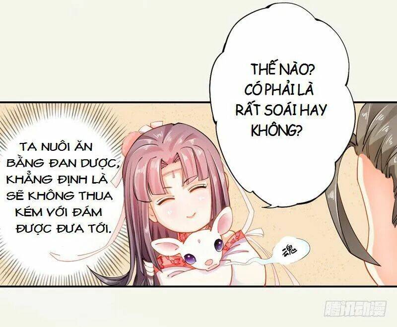 Tuyệt Thế Luyện Đan Sư: Chapter 12