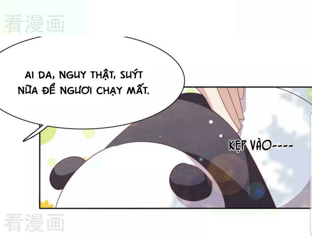 Xuyên Về Cổ Đại Làm Quốc Bảo: Chapter 8