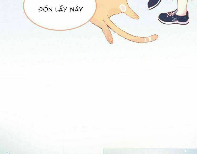 Bên Anh Mới Là Cả Thế Giới: Chapter 0