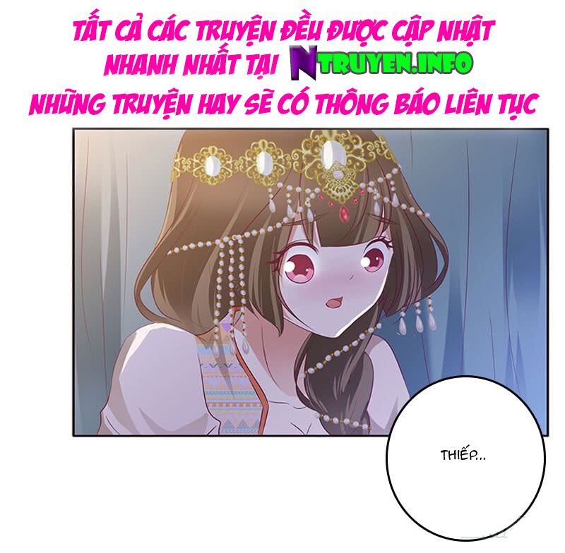 Thông Linh Phi: Chapter 288