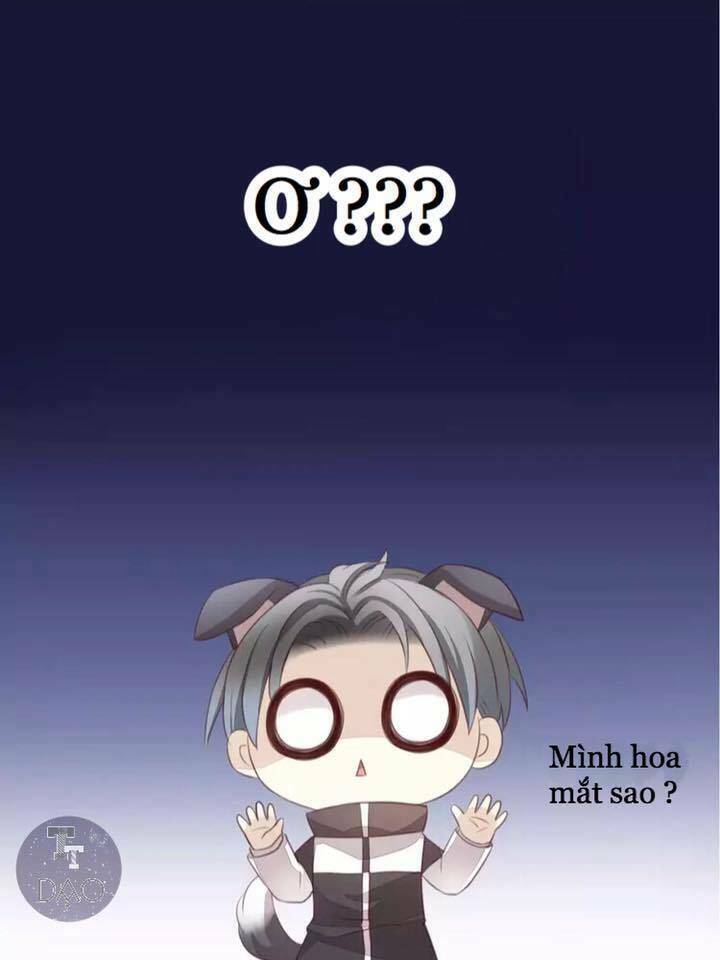 Dưới Móng Vuốt Mèo: Chapter 17