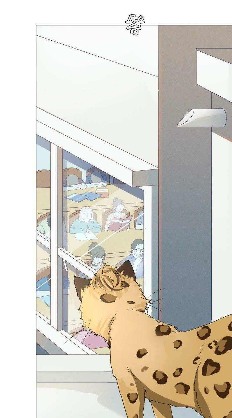 Thập Nhị Hắc Miêu: Chapter 1