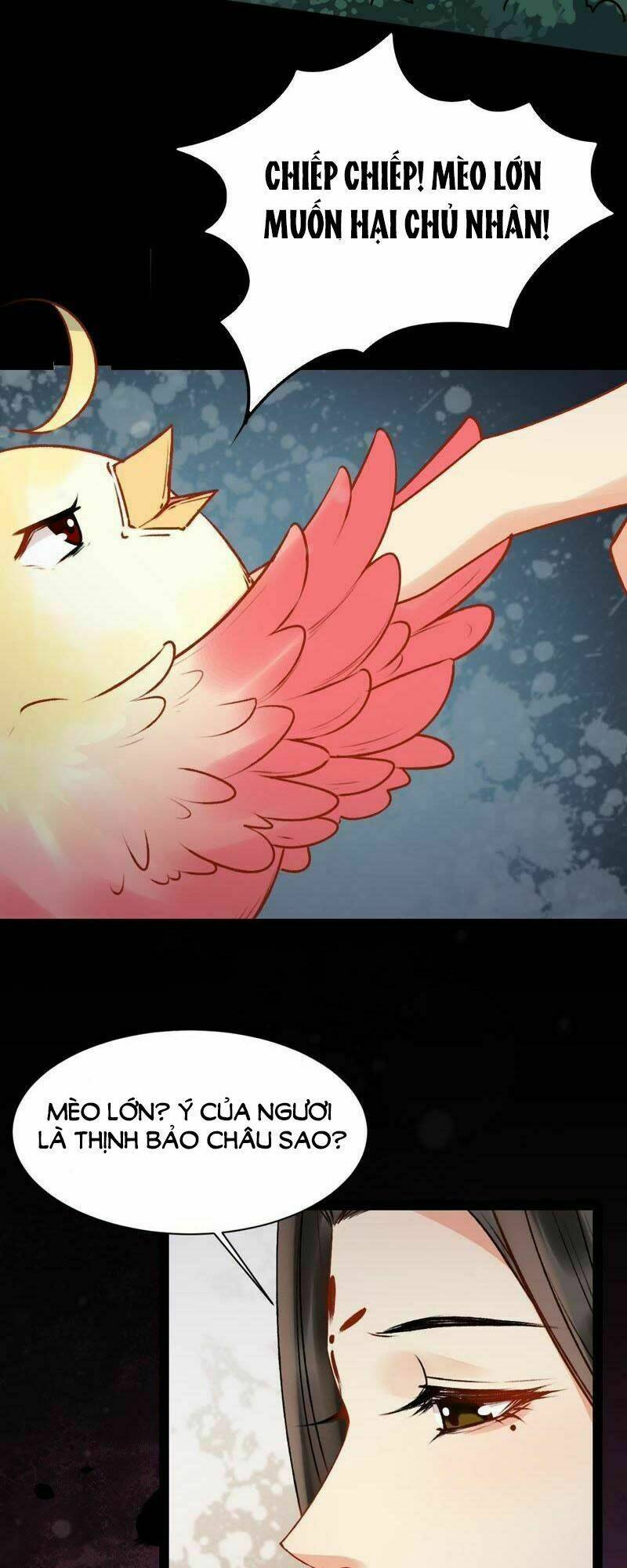 Thịnh Sủng Kiều Nữ Trở Về Triều Ca: Chapter 18