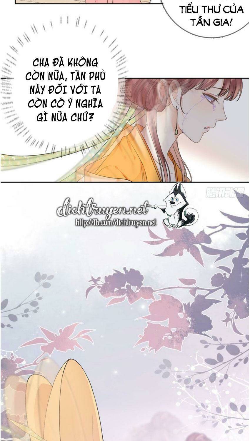 Tang Lạc Túy Tại Nam Phong Lý: Chapter 80