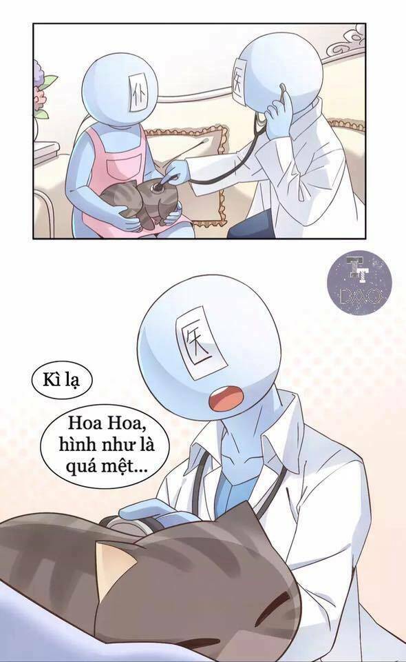 Dưới Móng Vuốt Mèo: Chapter 19