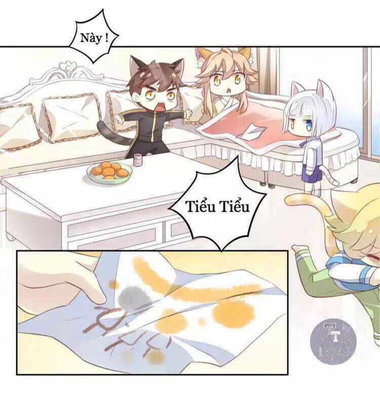 Dưới Móng Vuốt Mèo: Chapter 18