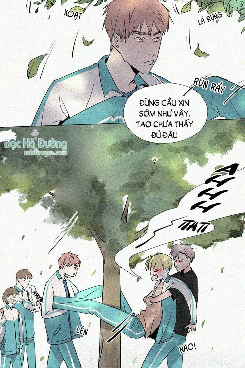 Câu Chuyện Về Cậu Và Tôi: Chapter 4