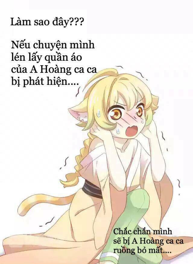 Dưới Móng Vuốt Mèo: Chapter 11