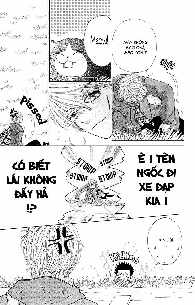 Dự Án Kéo Vàng: Chapter 11