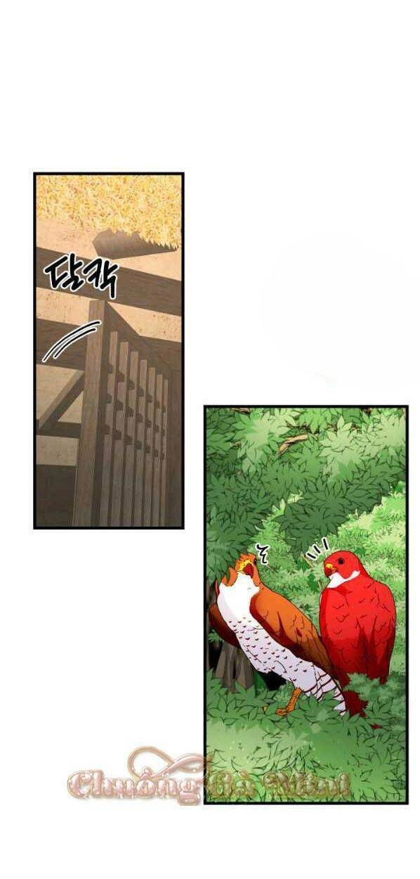 Cô Dâu Của Sói Đen: Chapter 14