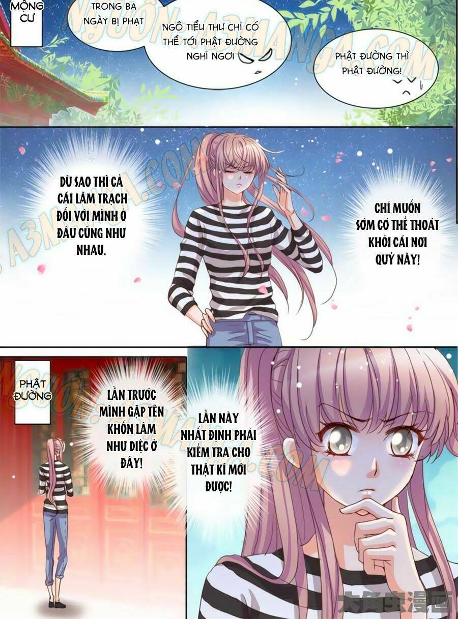 Bá Đạo Tổng Tài Yêu Ta: Chapter 22