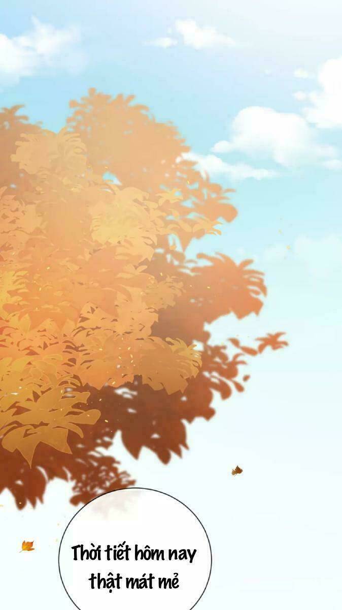 Từ Cái Nhìn Của Em: Chapter 35