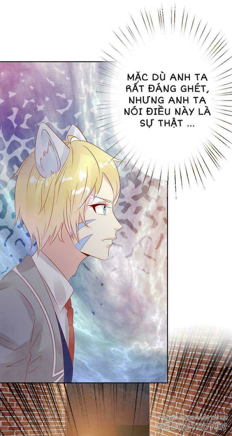 Băng Sơn Học Trưởng Không Được Chọc: Chapter 14