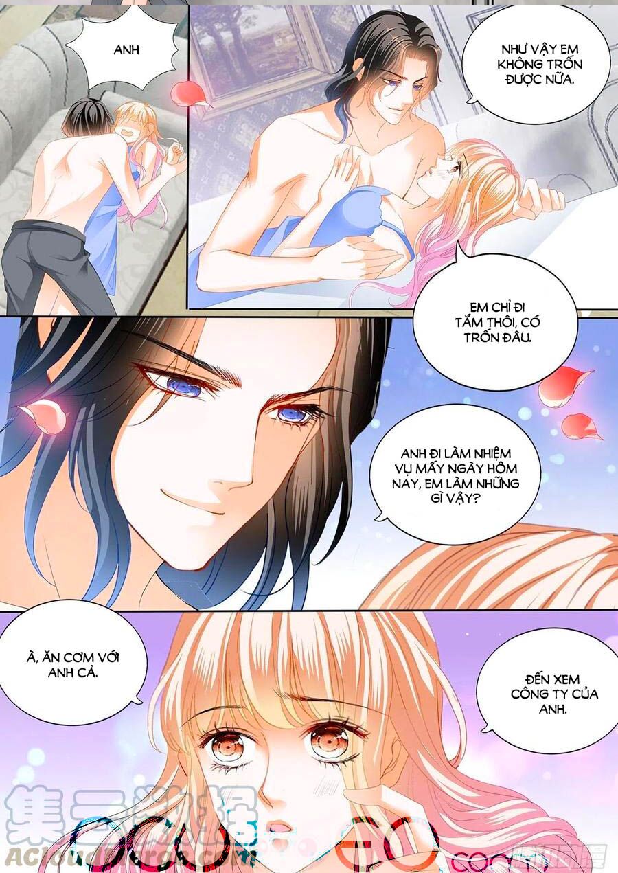 Bá Đạo Tiểu Thúc, Xin Trêu Chọc Vừa Thôi!: Chapter 241