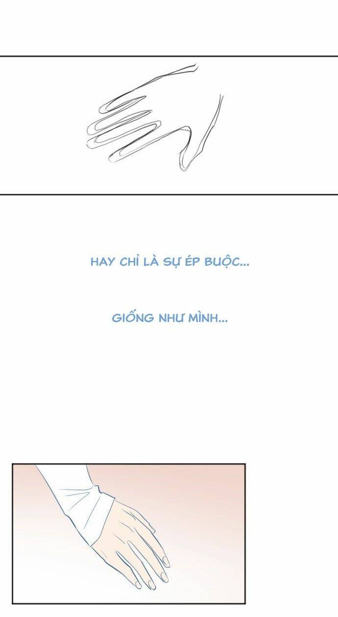 Transparent Cohabitation: Chapter 31