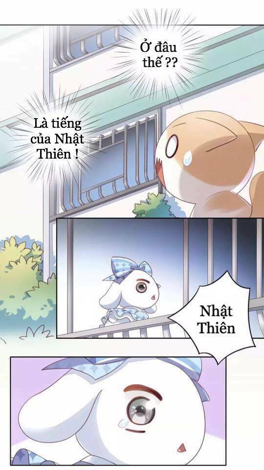 Dưới Móng Vuốt Mèo: Chapter 15