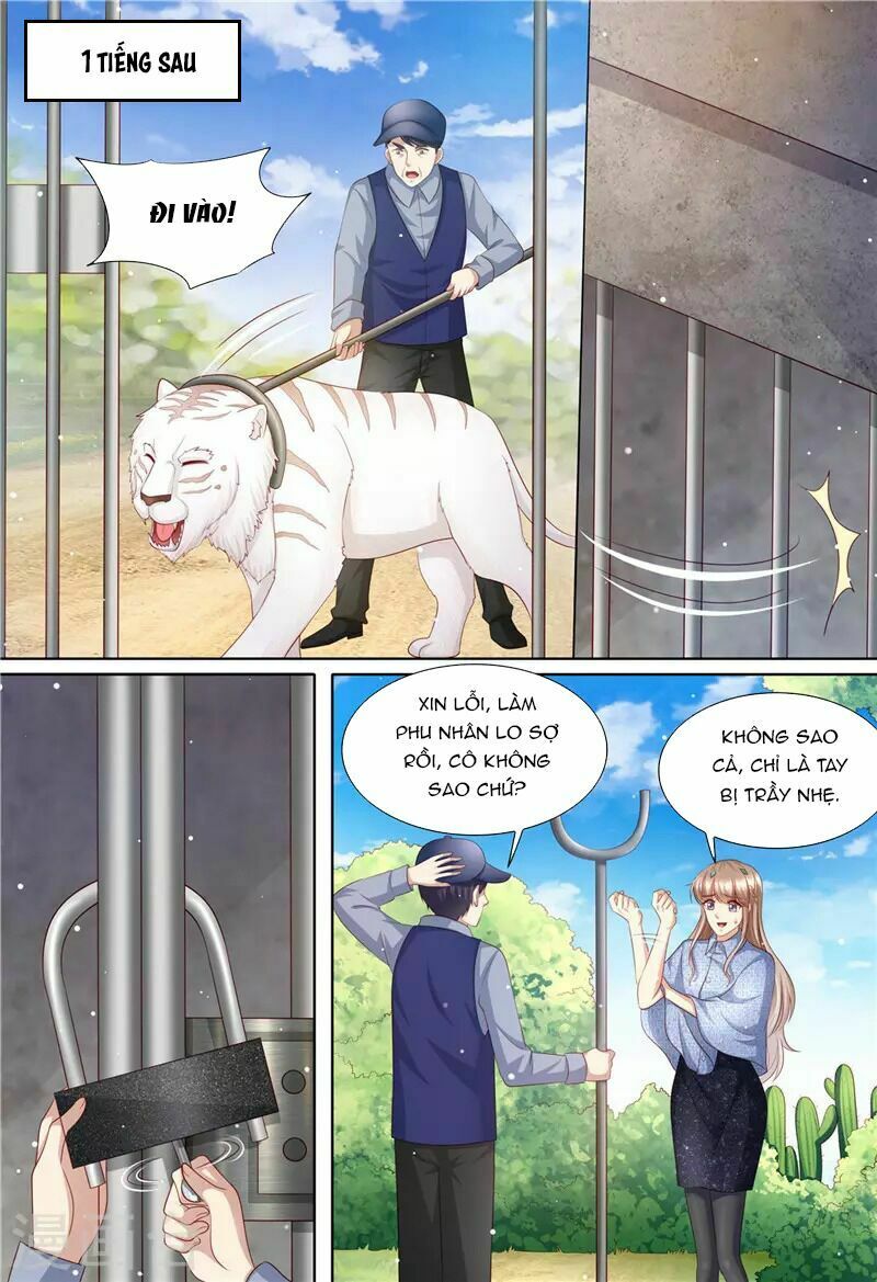 Cưng Chiều Vợ Yêu: Chapter 197