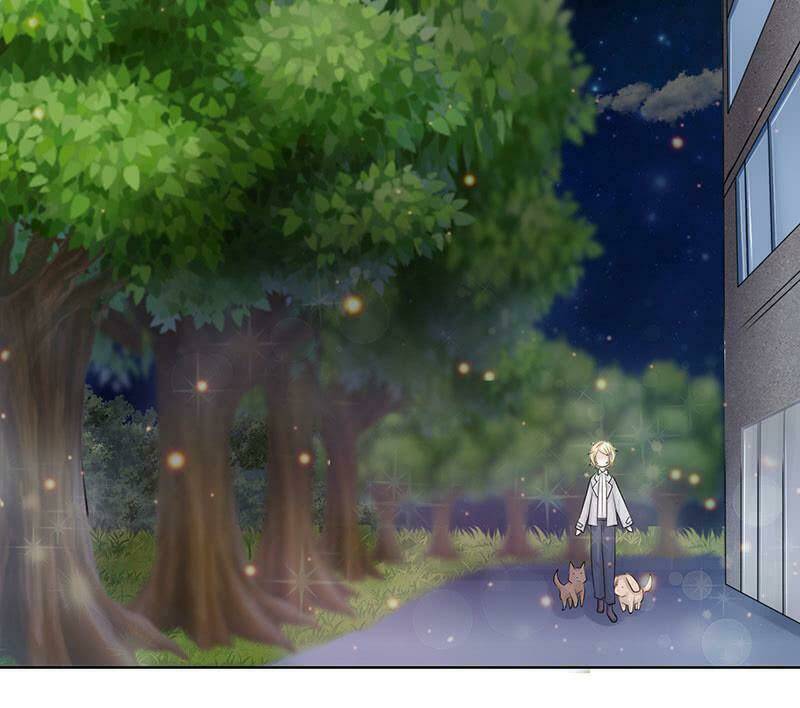 Băng Sơn Học Trưởng Không Được Chọc: Chapter 51.1